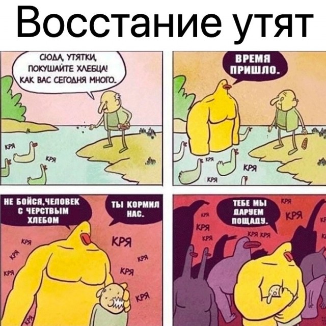 Так себе картинки 12.02.22