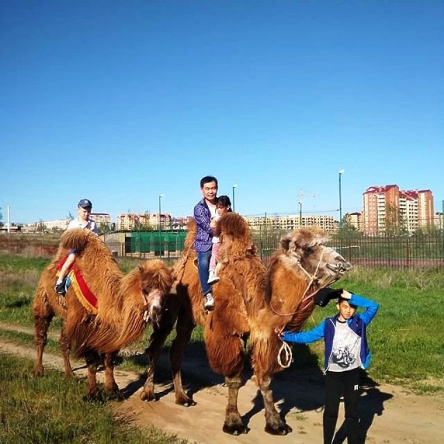 Пандемия. Коронавирус и съехавшие крыши. Россия и мир. Часть 33.