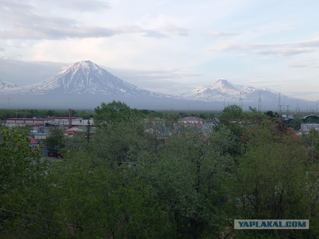 Пятница. Что пьем, коллеги?
