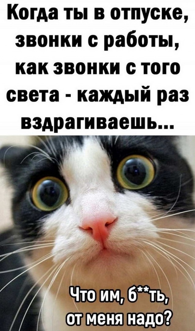 Юмор из Сети 20.06.22