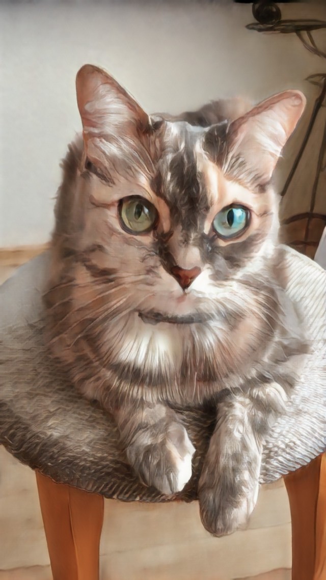 Ура! Котовторник.