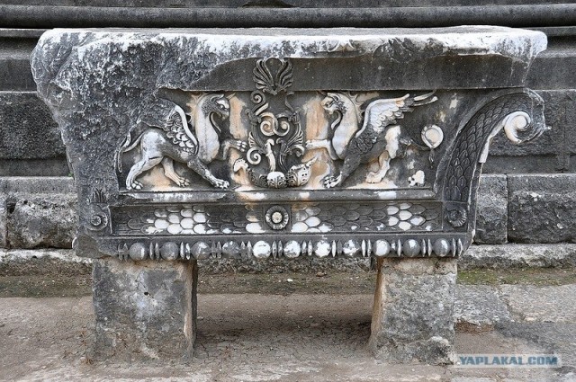 Любовь с первого взгляда