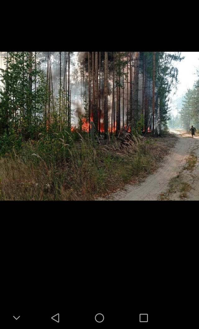5000 людей смотрят на лесной пожар из окна, пожарные...тоже смотрят