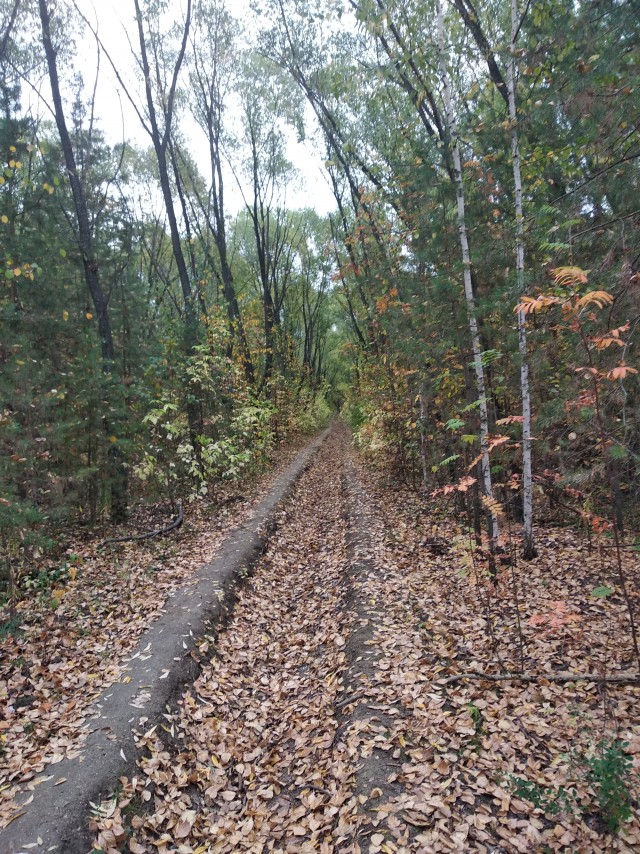 Челябинск Парк Гагарина или Городской Бор. Осень