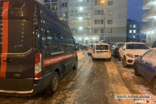 «Сначала из окна вылетела елка»