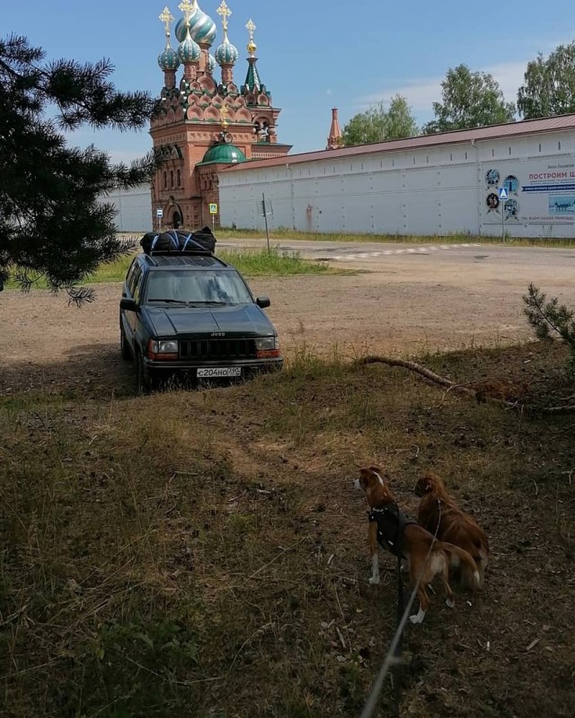 А есть ли среди нас любители американских авто?