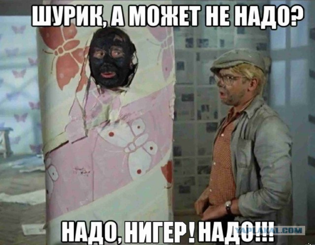 «Ну Погоди» обвинили в расизме
