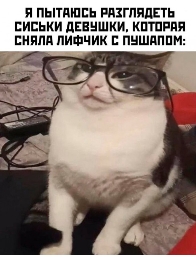 Нуштош 25.02.23
