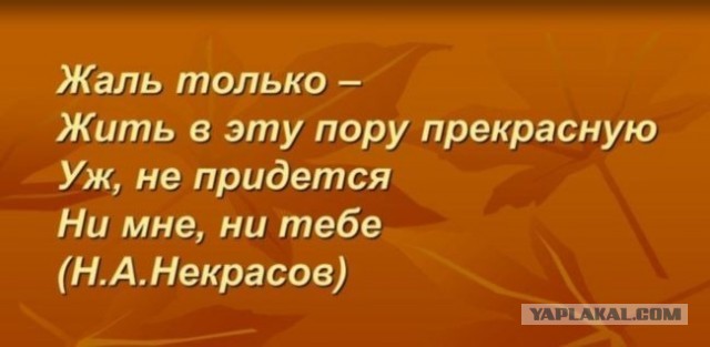 В России состоялась презентация нового отечественного седана бизнес-класса «Москвич 6»