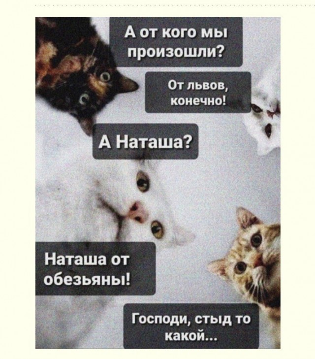 Так себе картинки 20.04.23