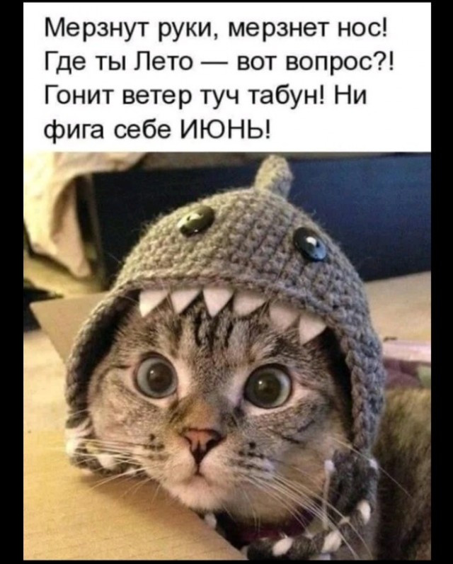 Прогнозы подтвердились — готовимся к самым высоким температурам за всю историю наблюдений