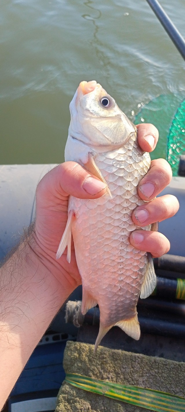Рыбалка на Азовском море