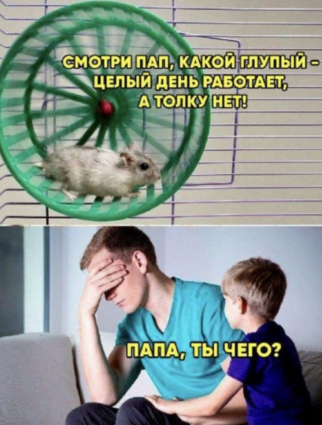 Злобная сатира на окружающий мир