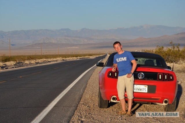 Ford Mustang напрокат