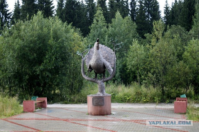 Необычные статуи мира