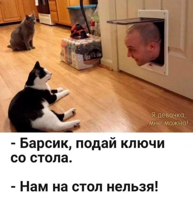 Маленькая пятница 6 марта