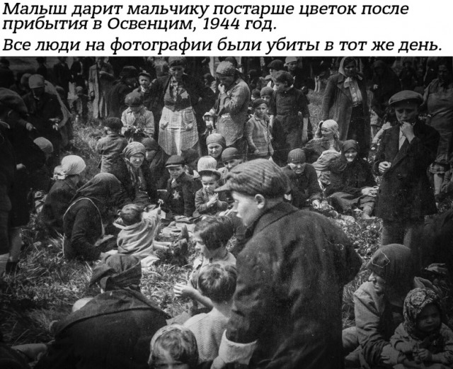 Небольшая подборка истрических фото (16.04)