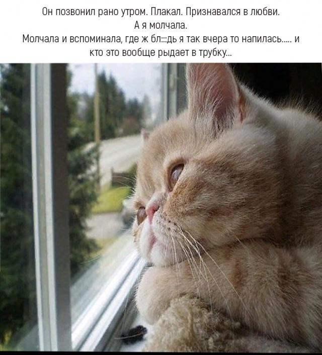 Так себе картинки 13.06.24