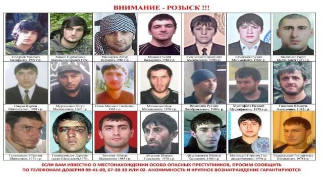 Картинки животных. Продолжение