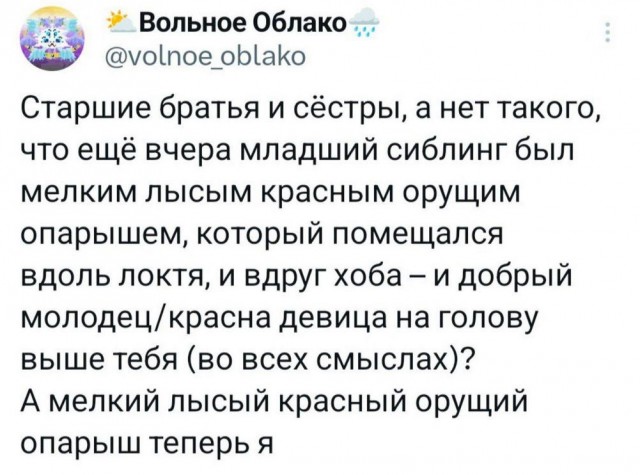 Нуштош 16.08.2024