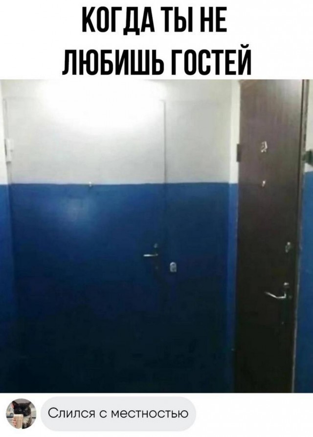 Немного картинок натыренных в ТГ