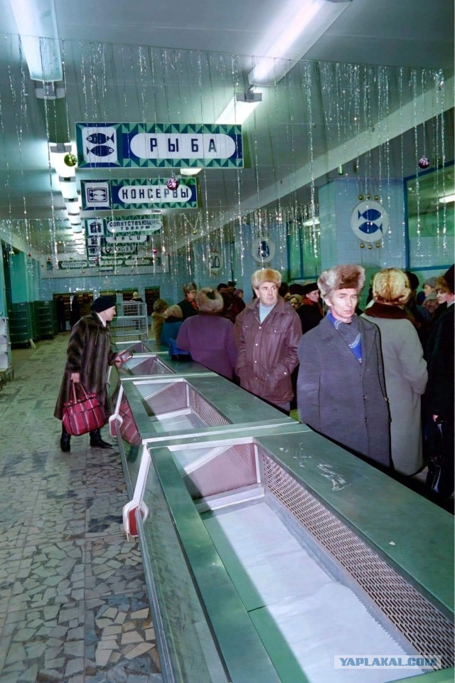 Back in USSR (18.09)