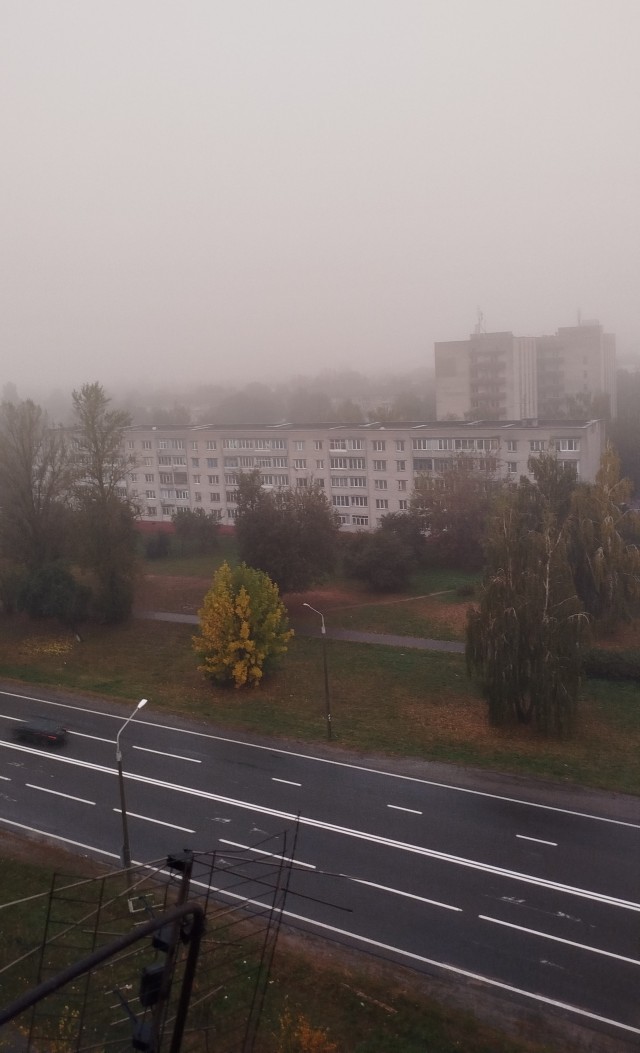 Вид из окна