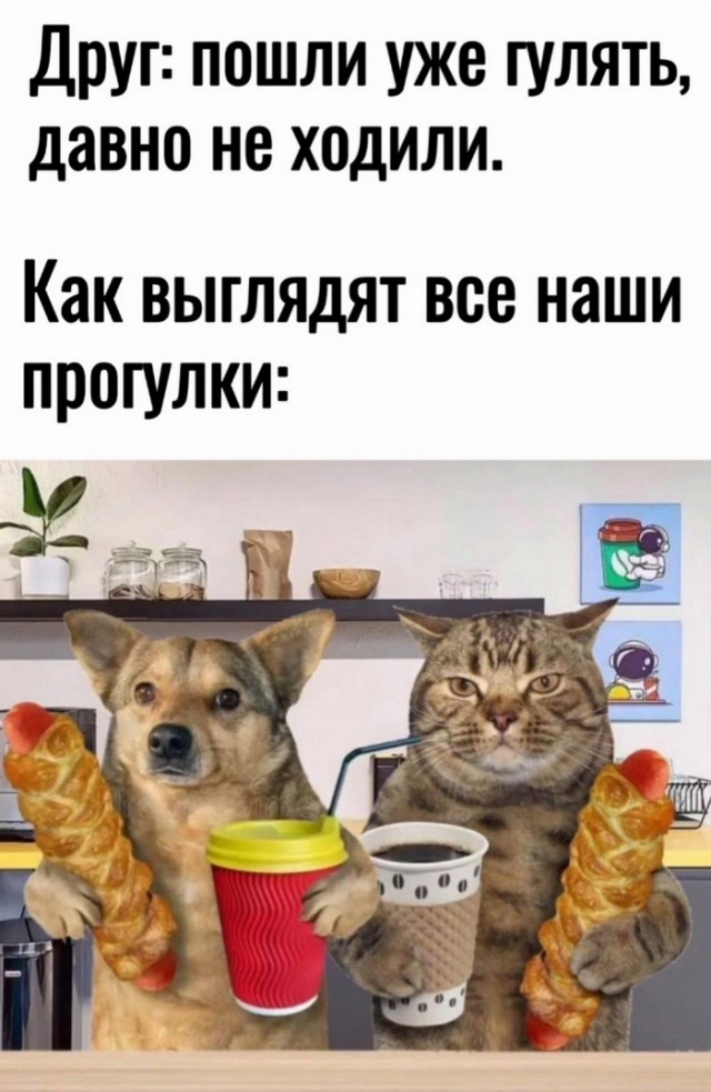 Завалялось тут случайно немного забавных картинок