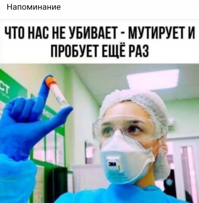 Так себе картинки 28.11.24