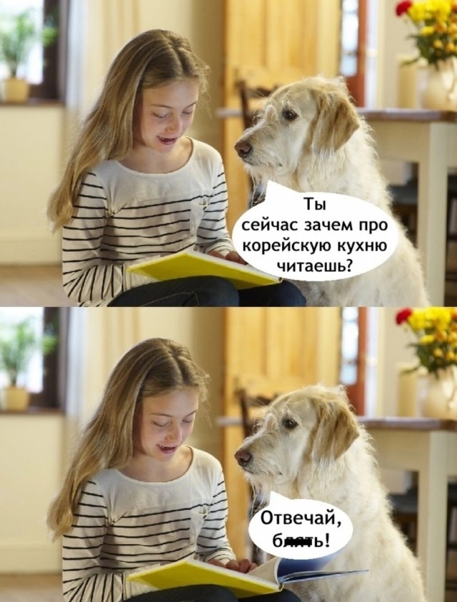 Так себе картинки 05.12.24