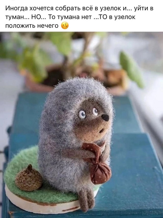 С меня картинки
