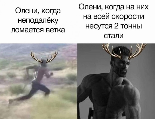Завалялось тут случайно немного забавных картинок
