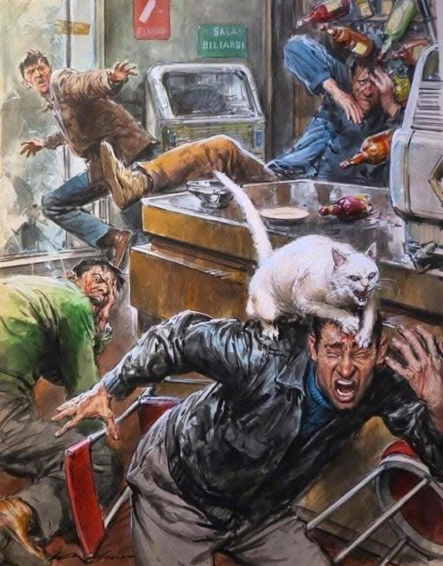 Котэ разбушевался