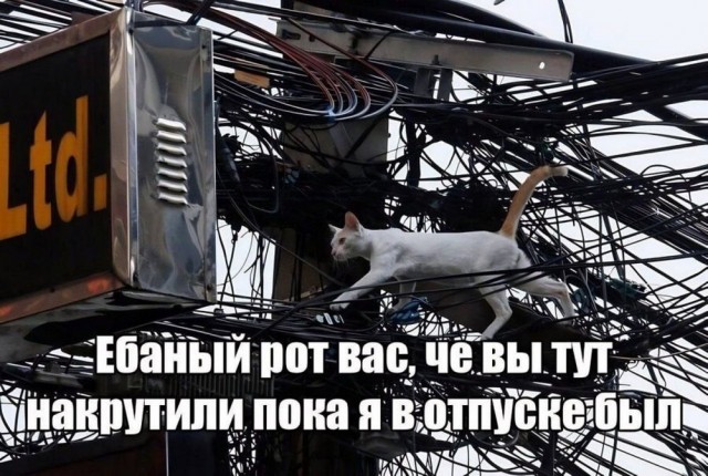 Так себе картинки 13.05.25