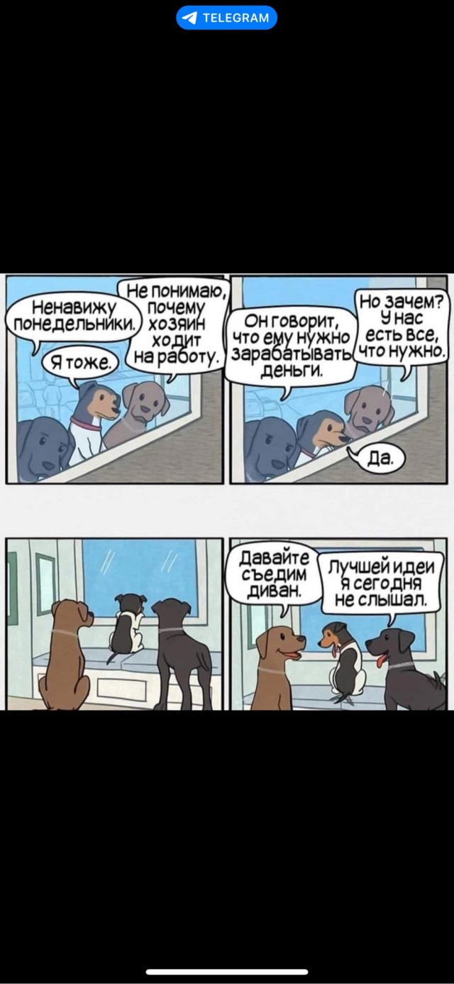 Заведи собак, говорили они