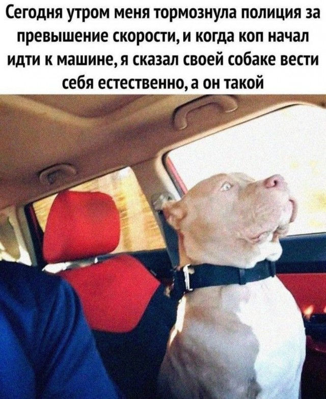 Пятничные тРРРидцать тРРРи!