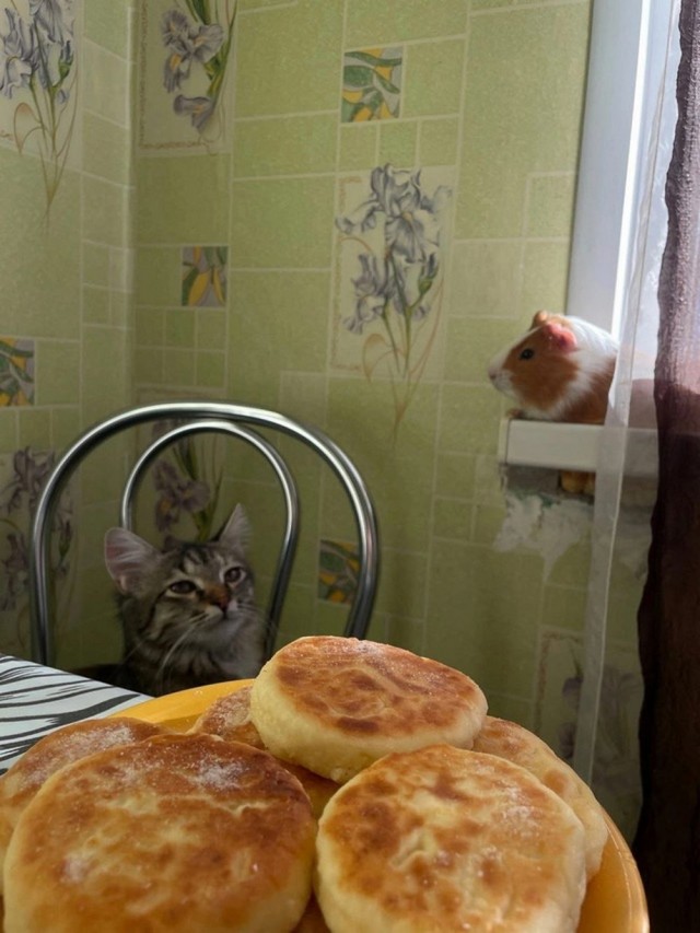 Немного ассортити....