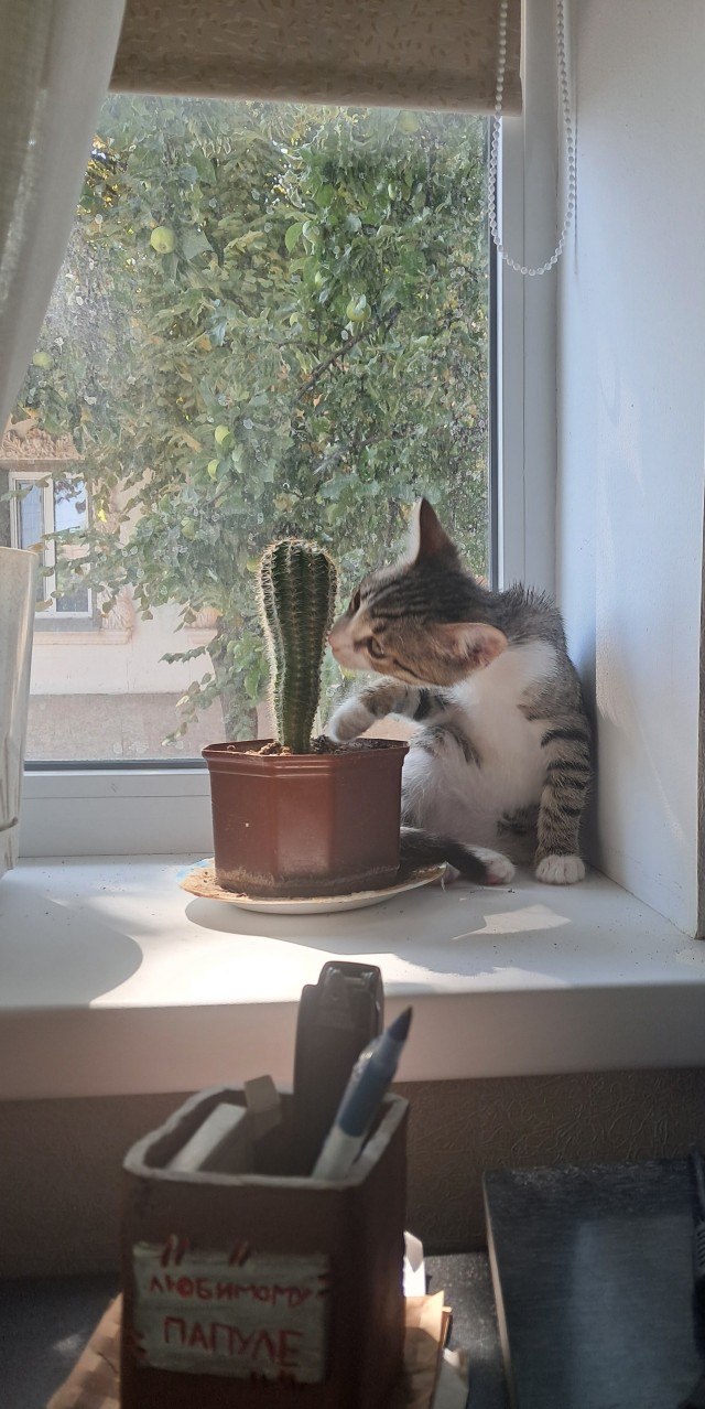 Лёлик подрастает.