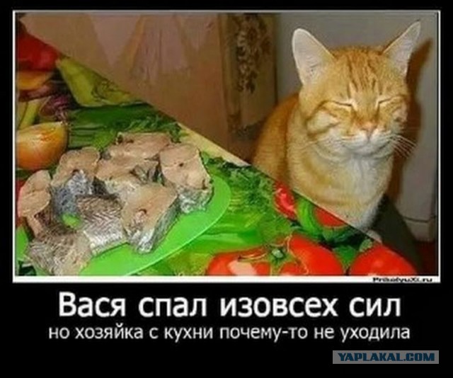 Преступник