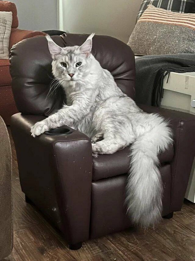 Эх пятницо картинки же