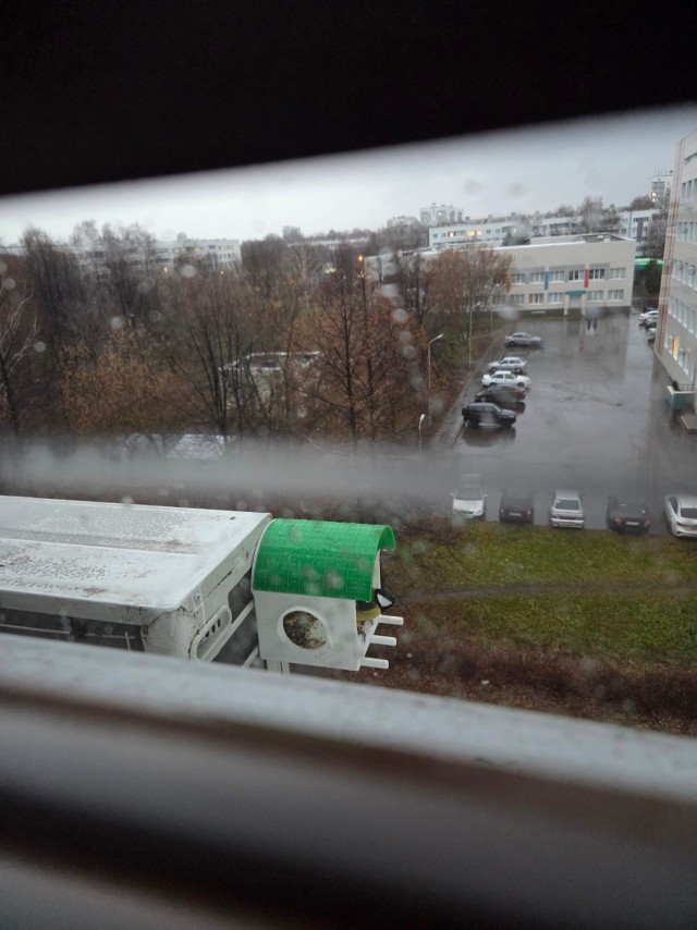 Бронедом для птиц, или почему я теперь не люблю дятлов