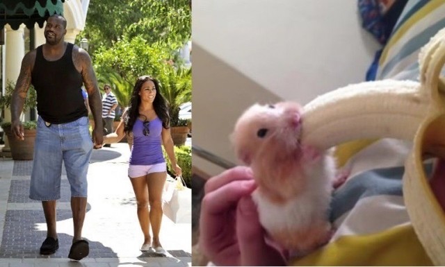 Веселое настроение в картинках (19.11.2025)