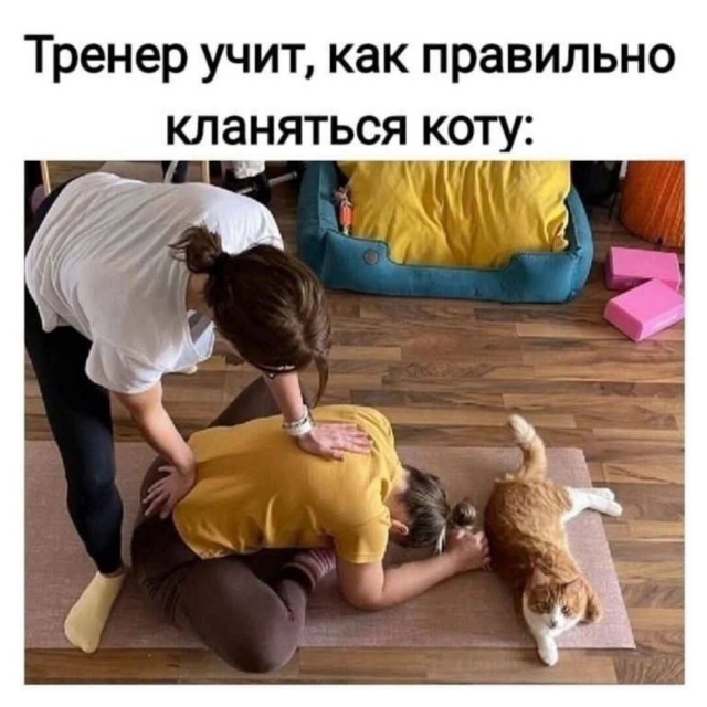 Четверговые картинки
