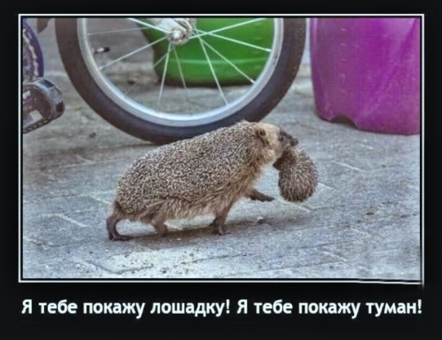 Вторника картинки