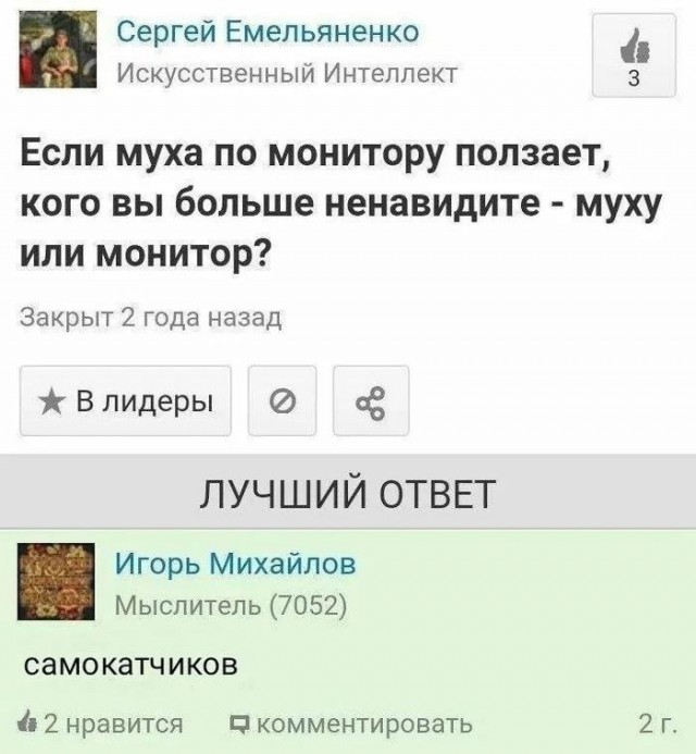 Субботние картинки