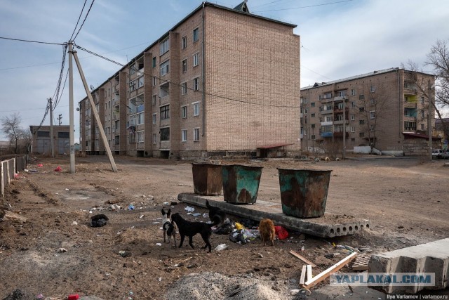 Переехал в Новосибирск из Читы + и -