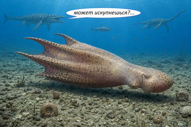 Может в кино сходим?