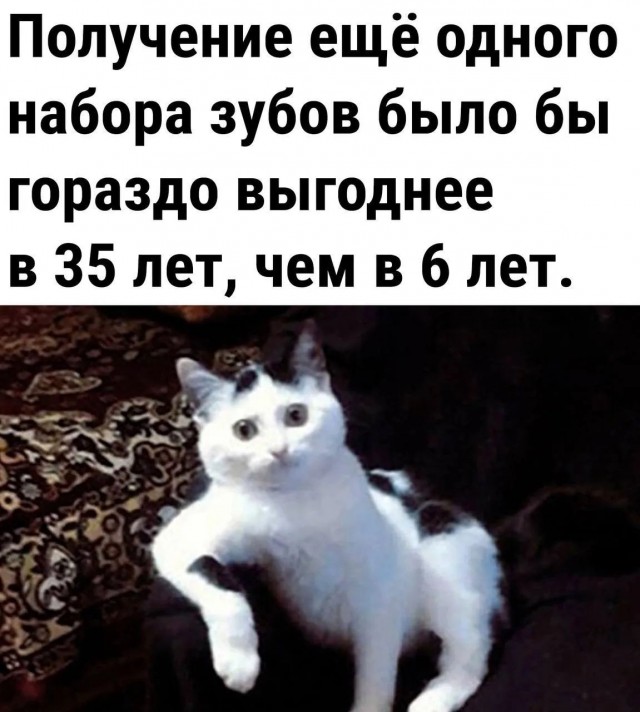 Так себе картинки 04.07.26