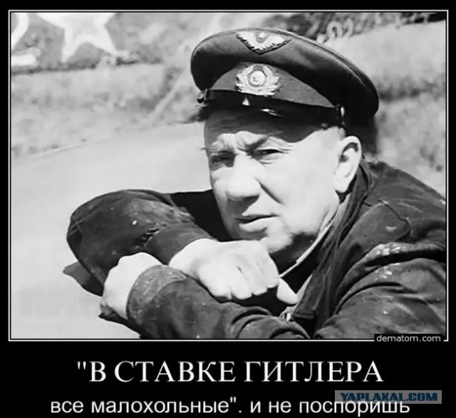 Свежее из Ставки