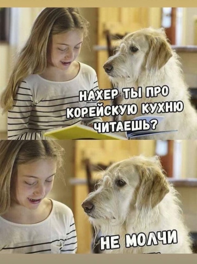 Картинки для деградации 252 (разной степени свежести)